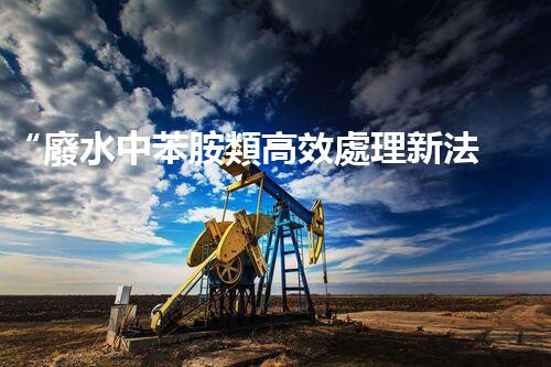 “廢水中苯胺類高效處理新法，環(huán)保先鋒引領綠色以后”